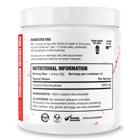 The Curse! Micronized Creatine Monohydrate 300g